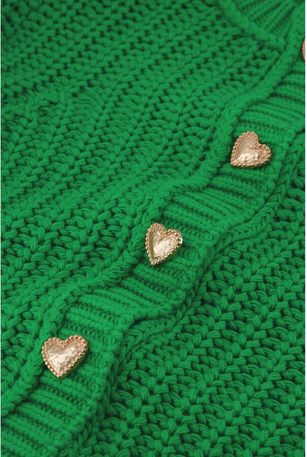 FABIENNE CHAPOT Dames Truien & Vesten Sun Cardigan Groen - Foto 5