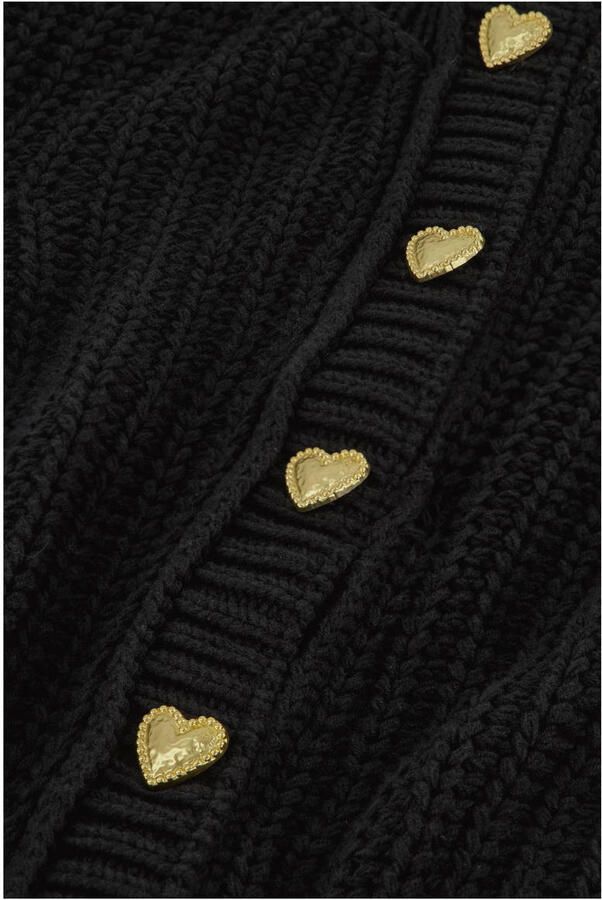 FABIENNE CHAPOT Dames Truien & Vesten Sun Cardigan 1 Zwart - Foto 5