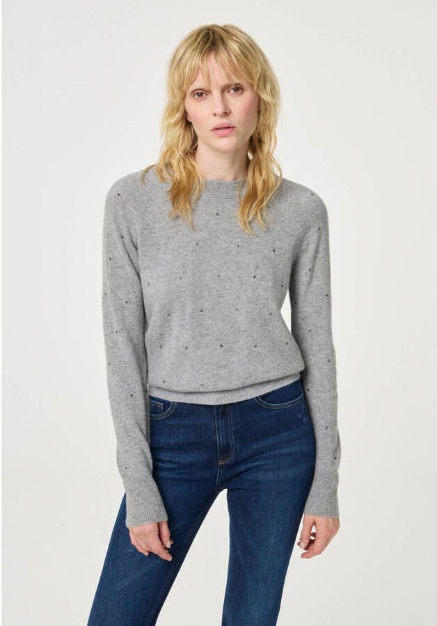 FABIENNE CHAPOT Dames Truien & Vesten Lidi Rhinestone Pullover Grijs - Foto 6
