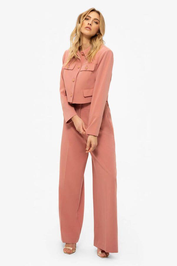 Fifth House straight low waist pantalon roze