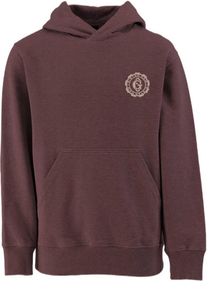 G-Star RAW Bren Hooded Sweater voor jongens Bruin jongens