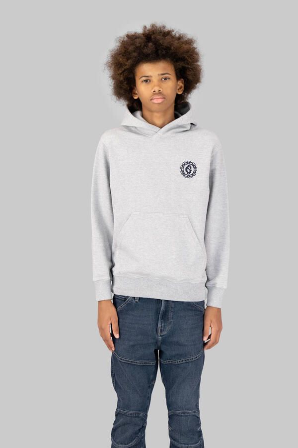 G-Star RAW Bren Hooded Sweater voor jongens Grijs jongens