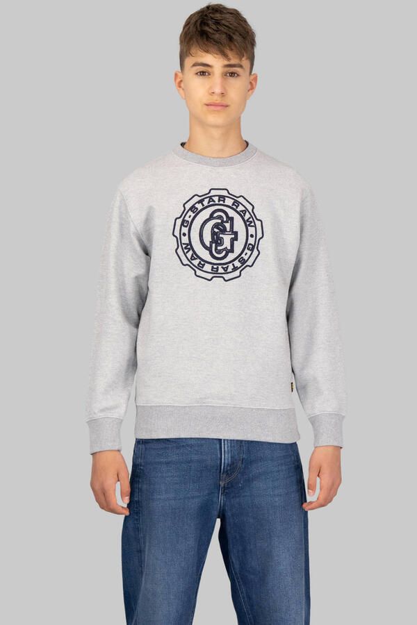 G-Star RAW ALD Crew Sweater voor jongens Grijs jongens