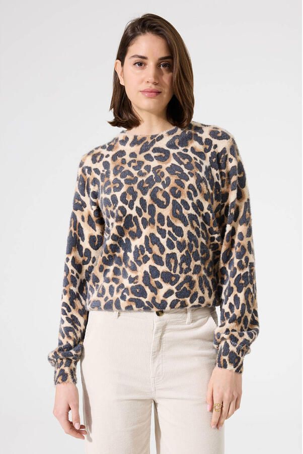 Garcia sweater bruin
