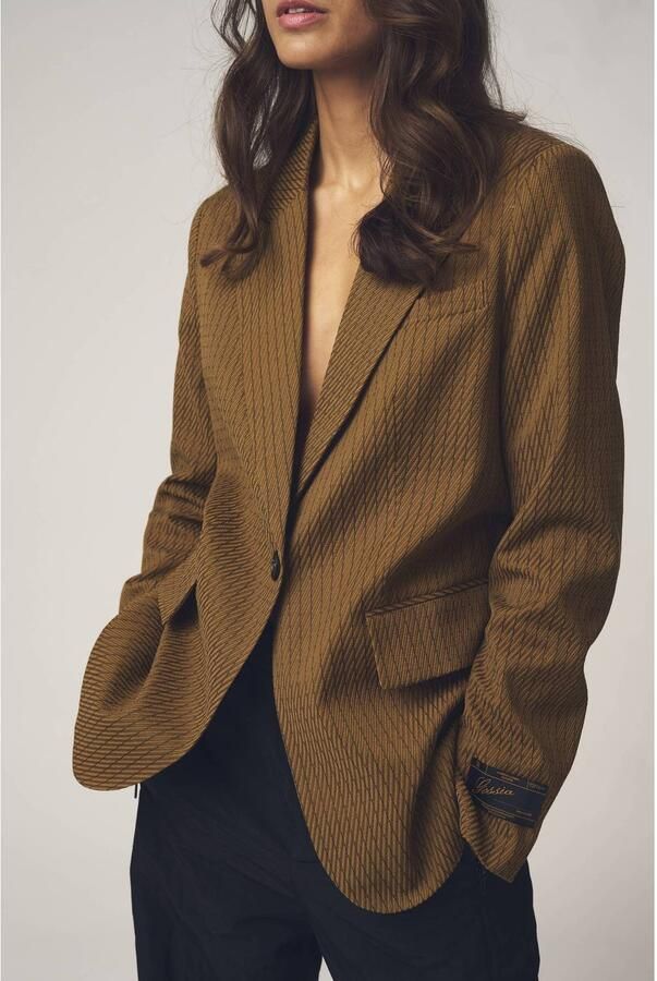 Gossia gestreepte blazer bruin