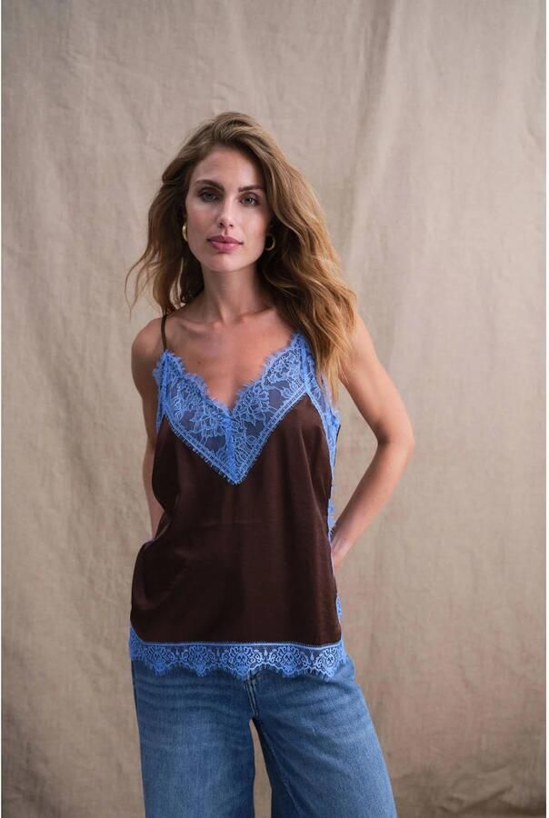 Gossia top bruin