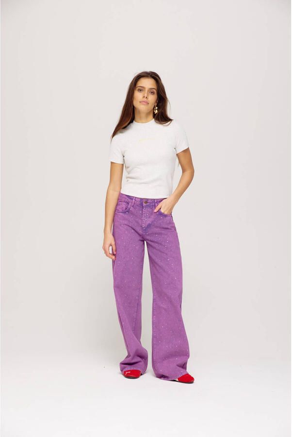 Harper & Yve Mayra-Pa Jeans Ss25D104 Purple Dames