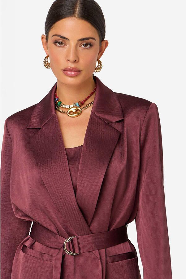 IBANA regular blazer donkerrood