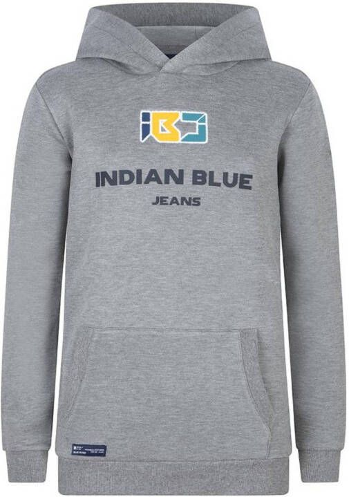 Indian Blue Jeans hoodie met printopdruk grijs