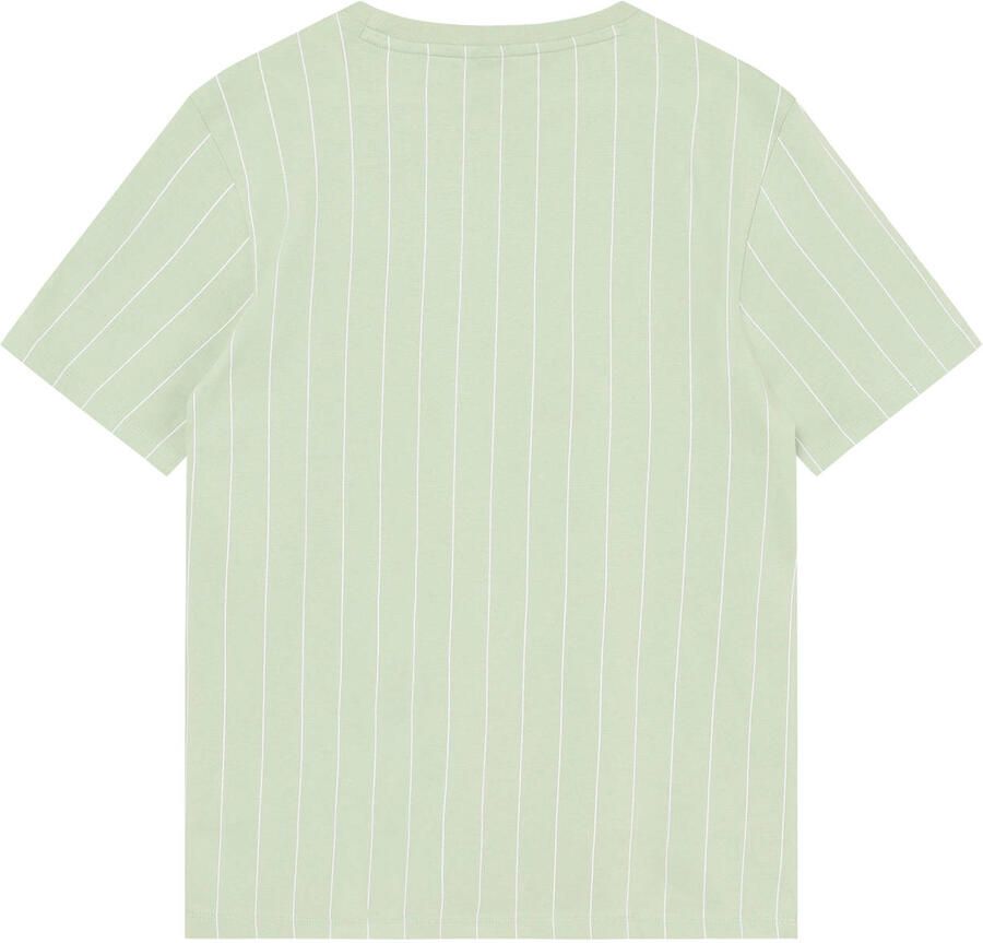 INDIAN BLUE JEANS Jongens Polo's & T-shirts Loose Fit T-shirt Pinstripe Mint - Foto 3