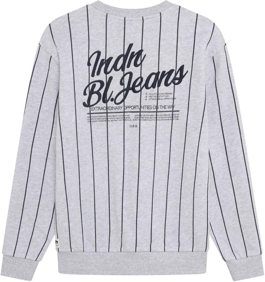 INDIAN BLUE JEANS Jongens Truien & Vesten Loose Fit Sweat Stripe Lichtgrijs - Foto 2