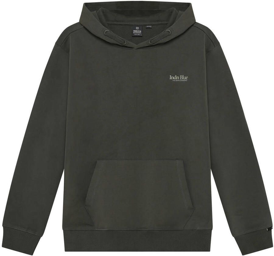 Indian Blue Jeans oversized hoodie groen