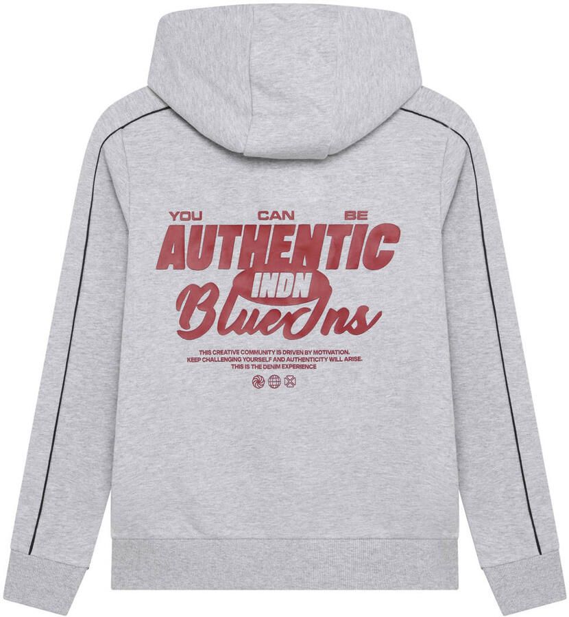 INDIAN BLUE JEANS Jongens Truien & Vesten Hoodie Chest And Backprint Lichtgrijs - Foto 2