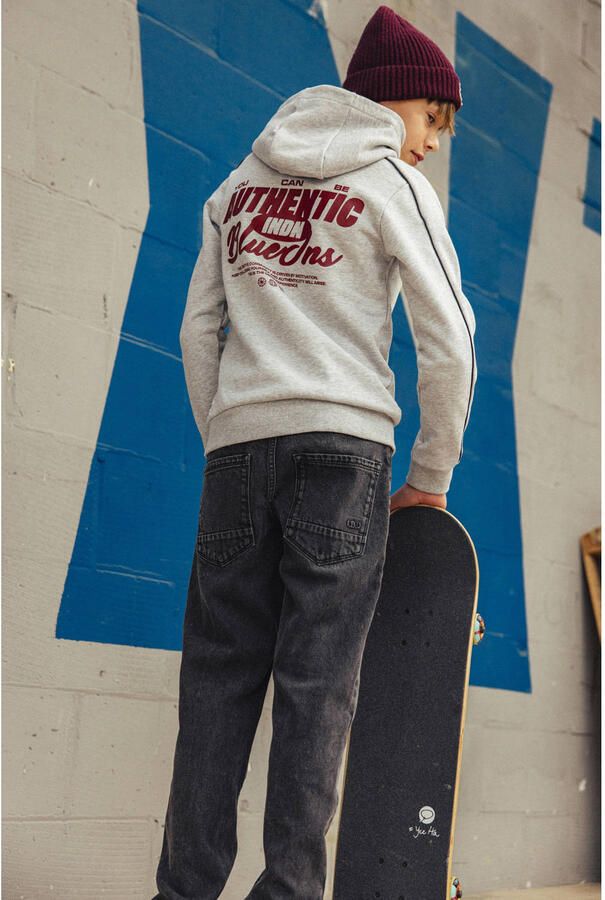 INDIAN BLUE JEANS Jongens Truien & Vesten Hoodie Chest And Backprint Lichtgrijs - Foto 3
