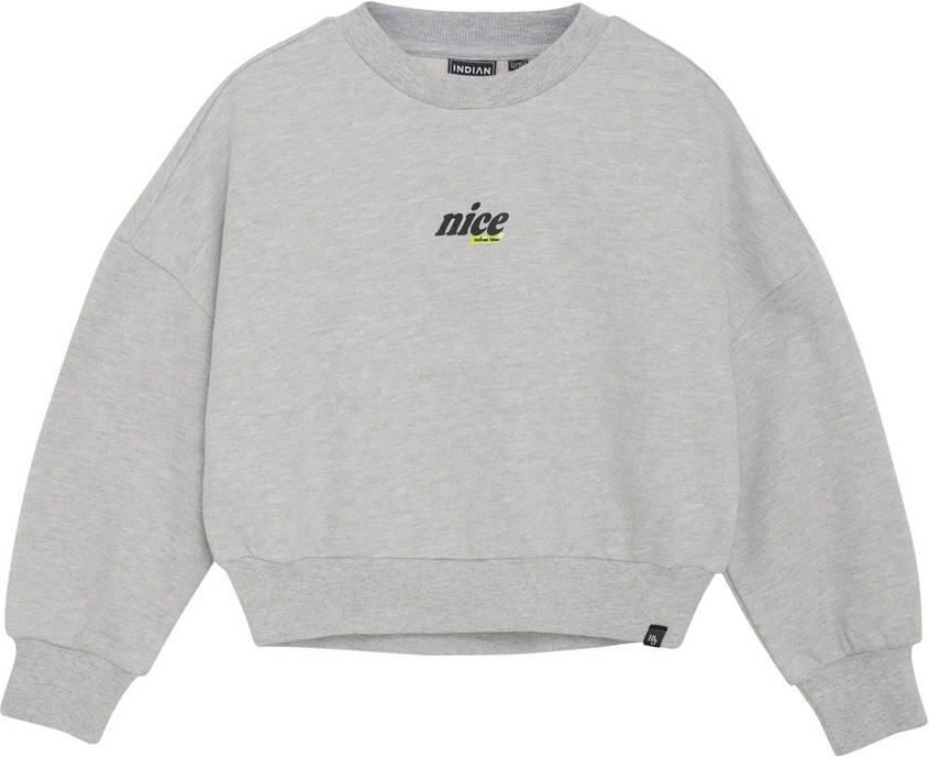 INDIAN BLUE JEANS Meisjes Truien & Vesten Sweater Glitterprint Lichtgrijs - Foto 5