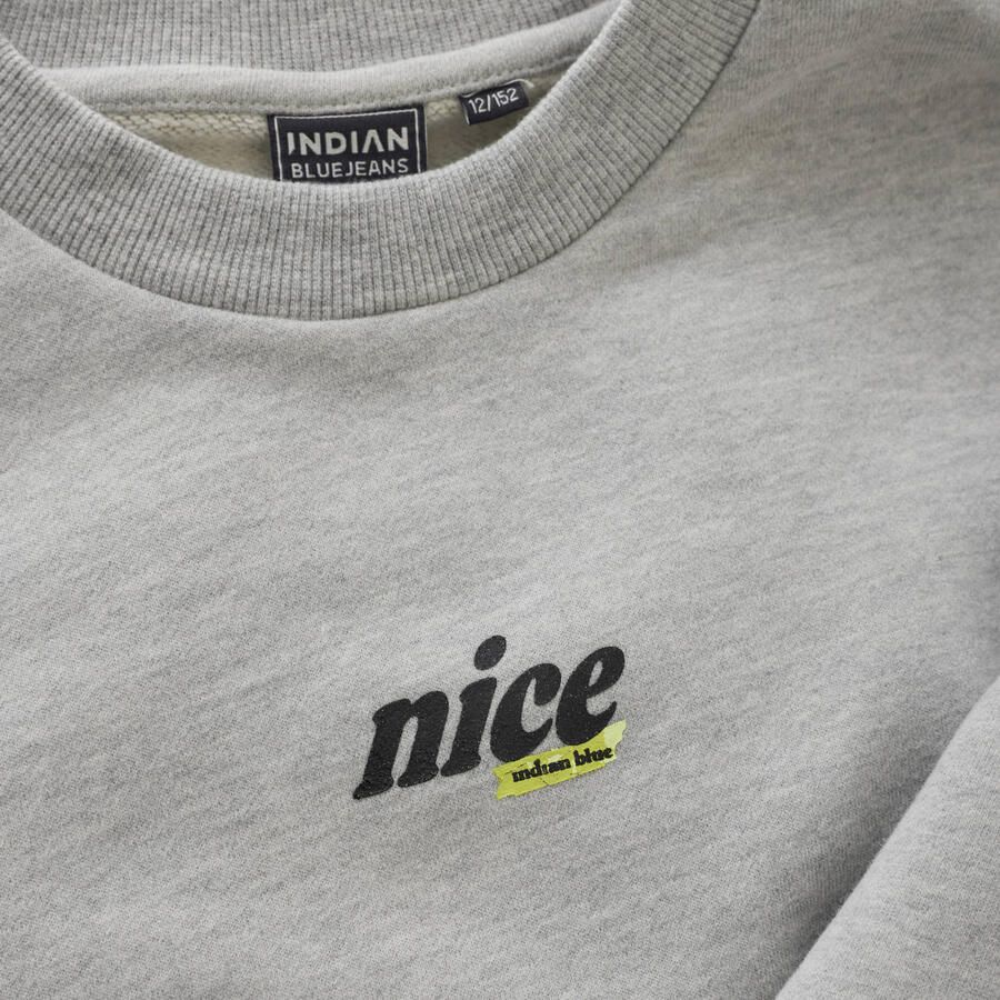 INDIAN BLUE JEANS Meisjes Truien & Vesten Sweater Glitterprint Lichtgrijs - Foto 3