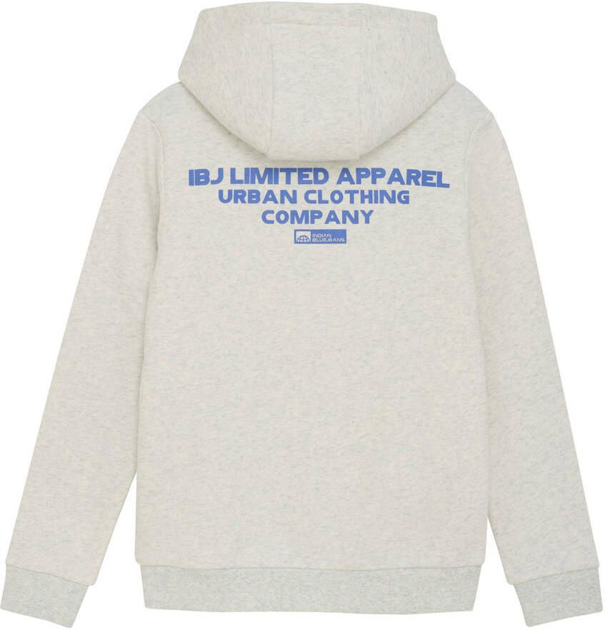 INDIAN BLUE JEANS Jongens Truien & Vesten Hoodie Limited Apparel Lichtgrijs - Foto 5