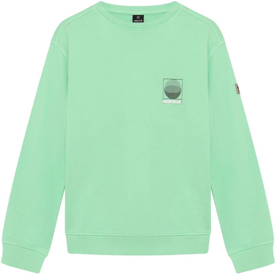 Indian Blue Jeans sweater met backprint groen