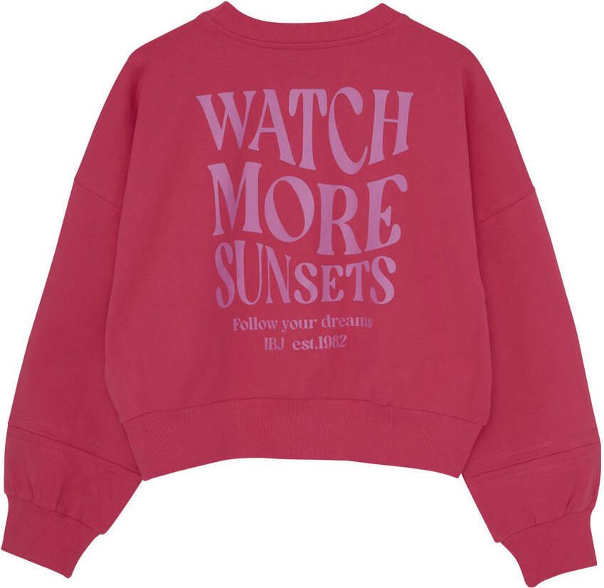 INDIAN BLUE JEANS Meisjes Truien & Vesten Loose Fit Sweat Backprint Roze - Foto 4