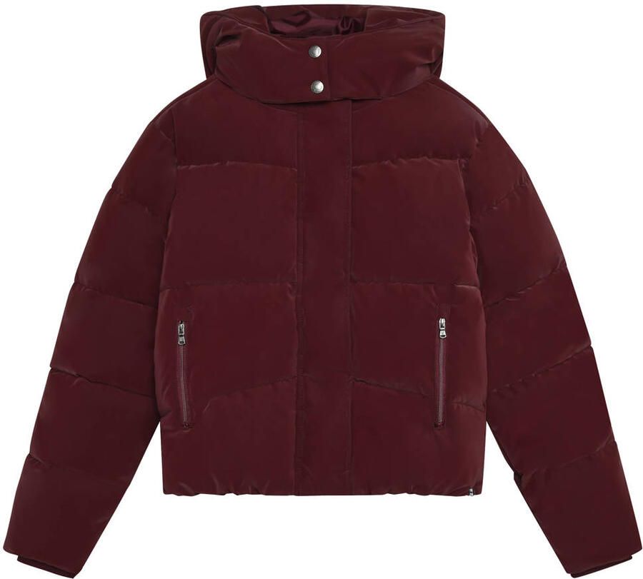 Indian Blue Jeans winterpufferjas donkerrood