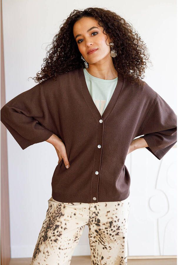 Ivy Beau gebreid vest bruin
