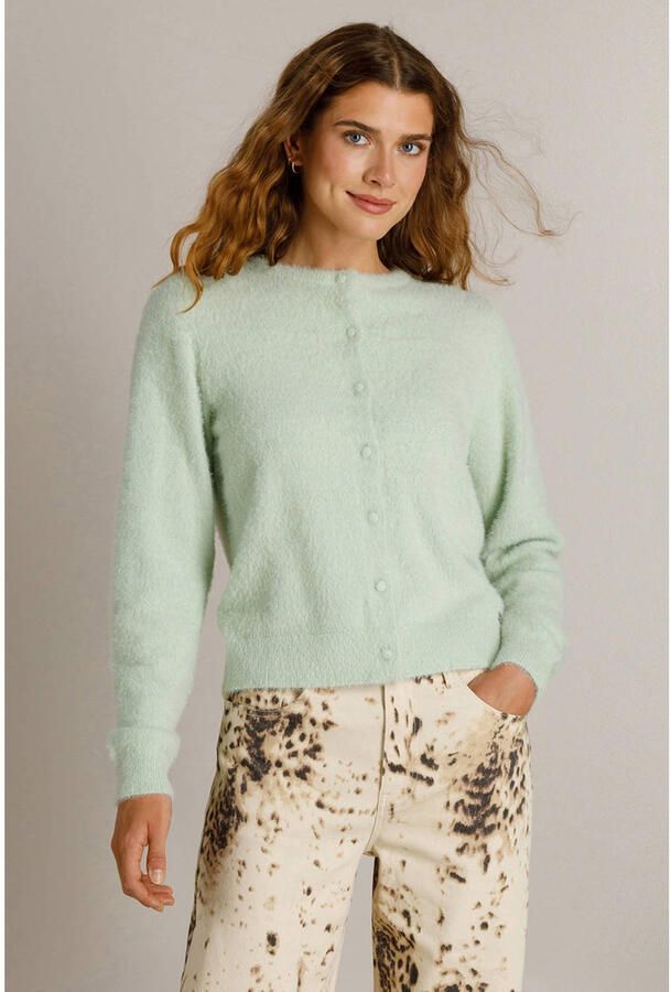Ivy Beau gebreid vest lichtgroen