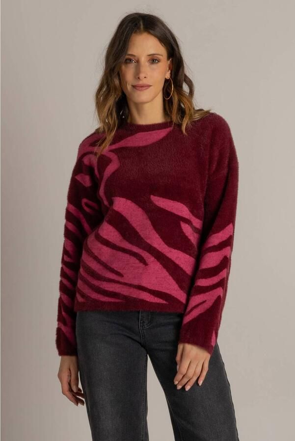 Ivy Beau gebreide trui met print donkerrood roze