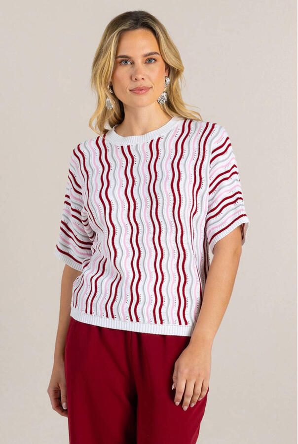 Ivy Beau top multi gebreid