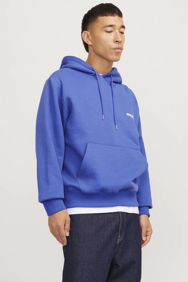 Jack & Jones Hoodie JCOUNION PRINT SWEAT HOOD NOOS - Foto 2
