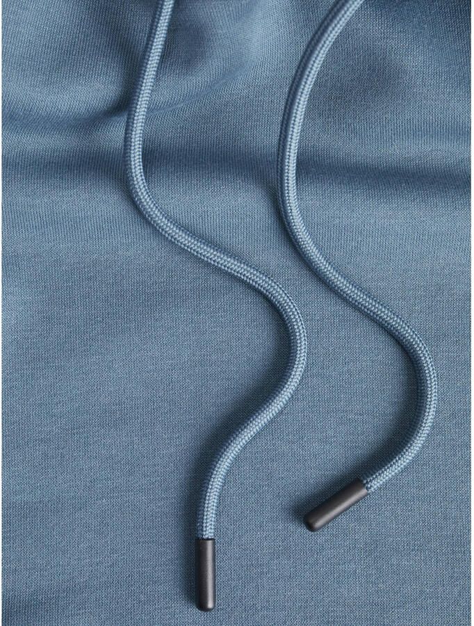 Jack & Jones Hoodie JJEBRADLEY SWEAT HOOD NOOS