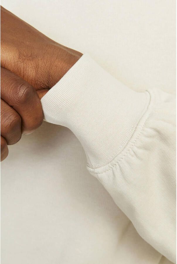 Jack & Jones Sweatshirt JJECHARGE SWEAT CREW NECK NOOS