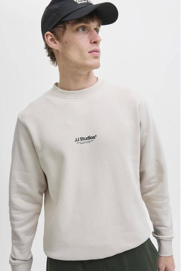 Jack & Jones Sweatshirt JJESOHO SWEAT CREW NECK NOOS
