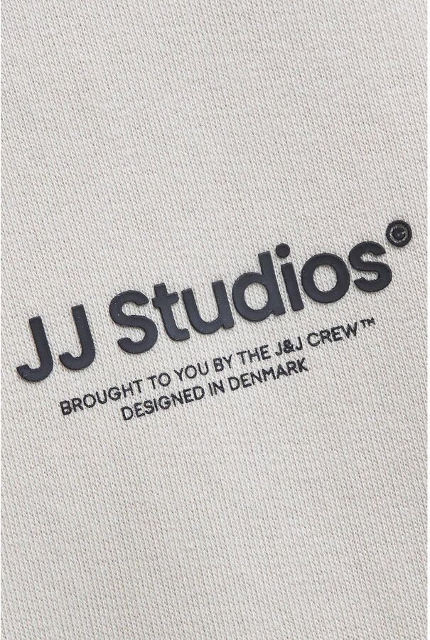 Jack & Jones Sweatshirt JJESOHO SWEAT CREW NECK NOOS - Foto 3