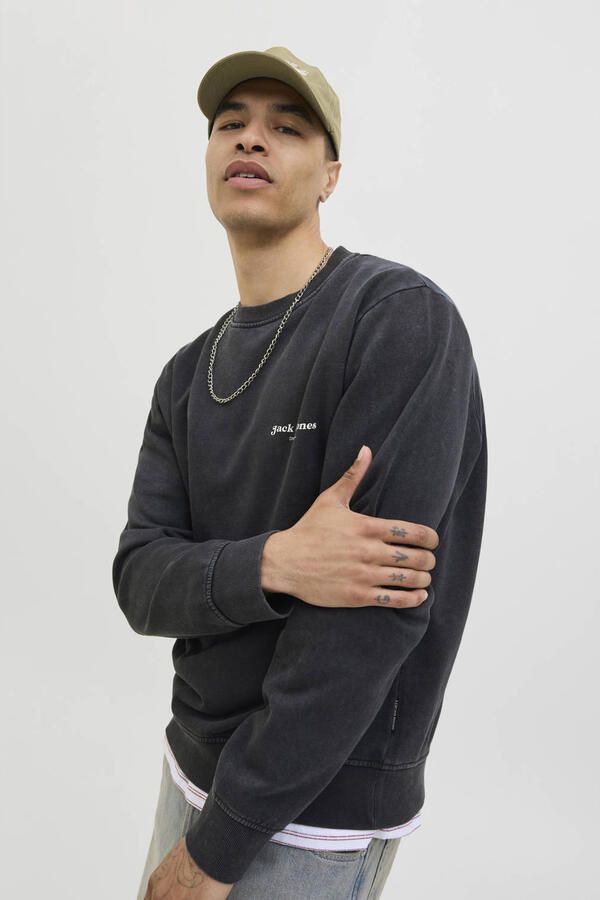 Jack & Jones Sweatshirt JJEDOVER PRINT SWEAT CREW NECK