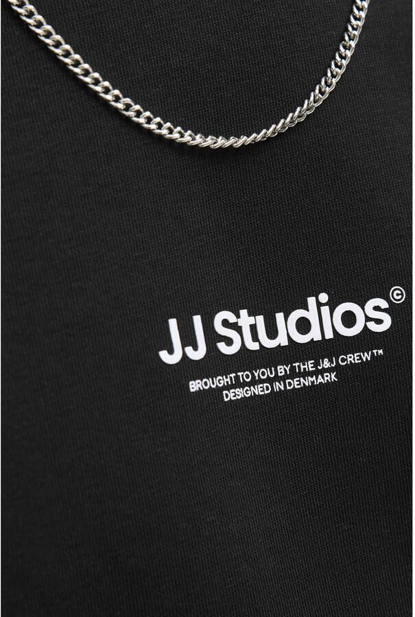 Jack & Jones Sweatshirt JJESOHO SWEAT CREW NECK NOOS