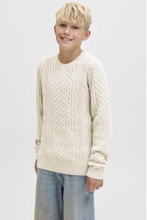 Jack & jones Regular fit gebreide pullover met structuurmotief model 'Sean' - Foto 4