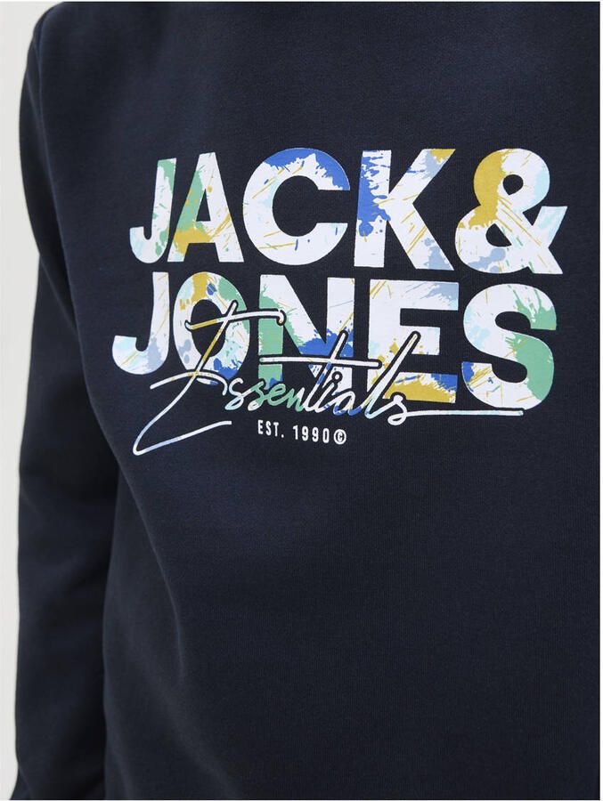 Jack & Jones Junior Hoodie JJGEPLAS SWEAT HOOD JNR