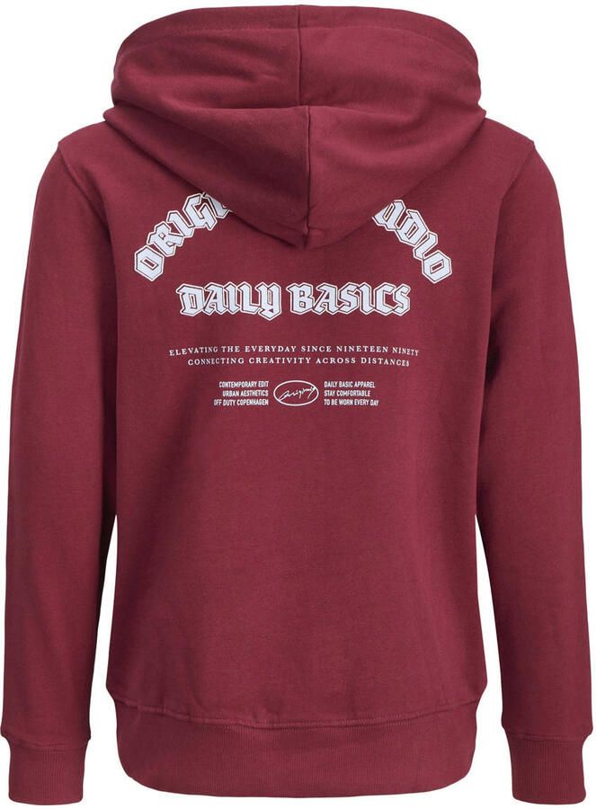 Jack & jones Hoodie met capuchon model 'MEADOWS'