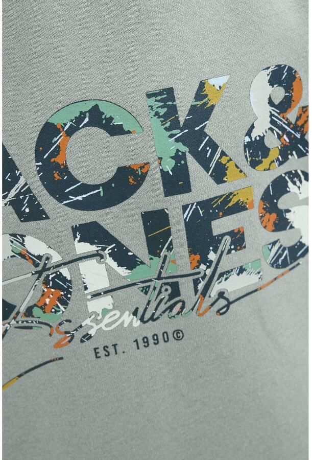 Jack & Jones Junior Hoodie JJGEPLAS SWEAT HOOD JNR