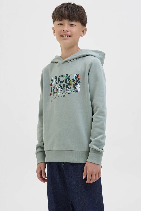 Jack & Jones Junior Hoodie JJGEPLAS SWEAT HOOD JNR