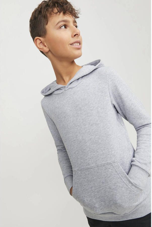 Jack & jones JUNIOR hoodie JJEBRADLEY SWEAT HOOD NOOS JNR grijs melange Sweater 116