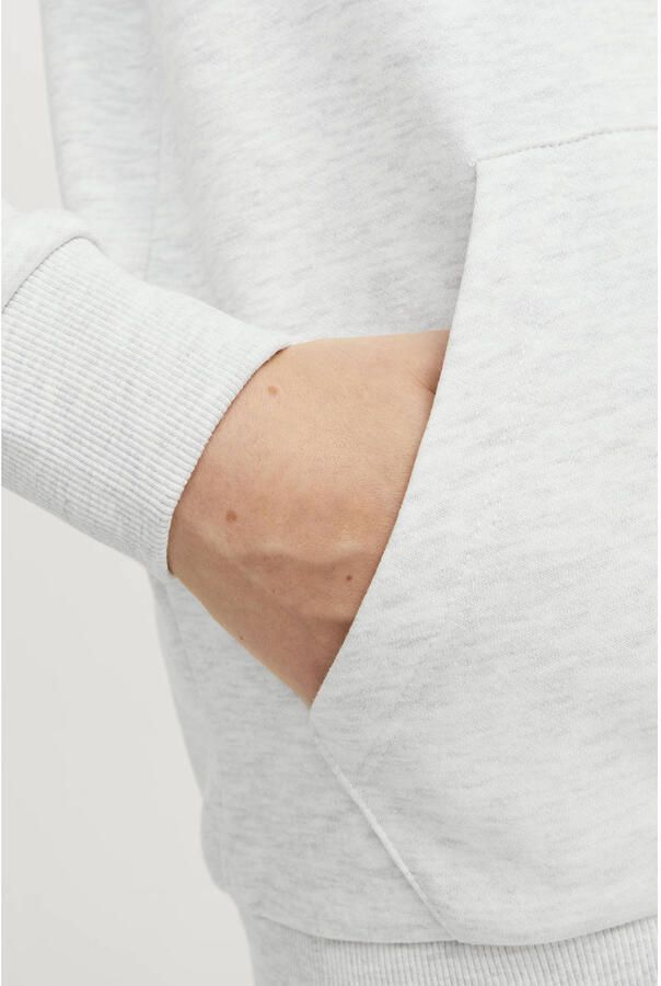 JACK & JONES JUNIOR hoodie JJECALEB VARSITY met logo wit melange - Foto 2