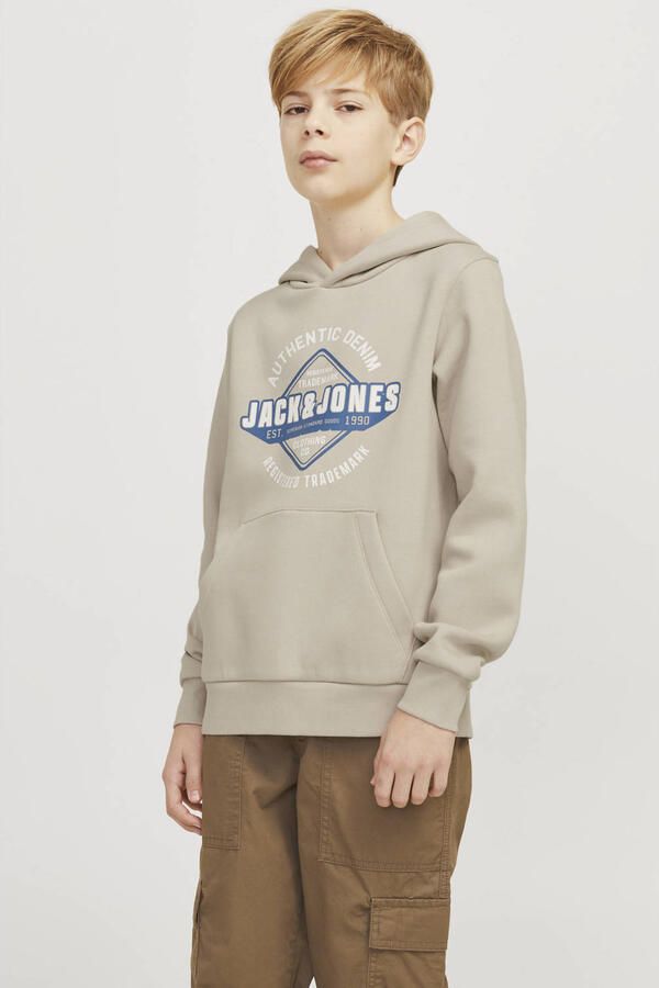 Jack & Jones Junior Hoodie JJELOGO SWEAT HOOD 2 COL 24 25 NOOS JNR - Foto 2