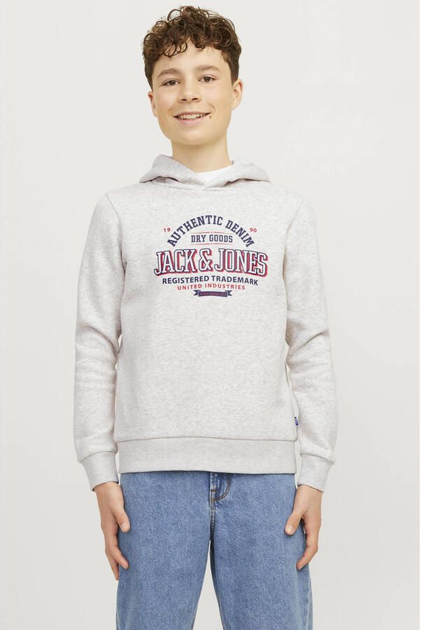 Jack & Jones Junior Hoodie JJELOGO SWEAT HOOD 2 COL 24 25 NOOS JNR - Foto 2