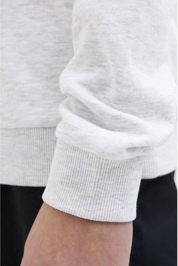 Jack & Jones Junior Hoodie JCOLOGAN SS24 PRINT SWEAT HOOD SN JNR - Foto 2