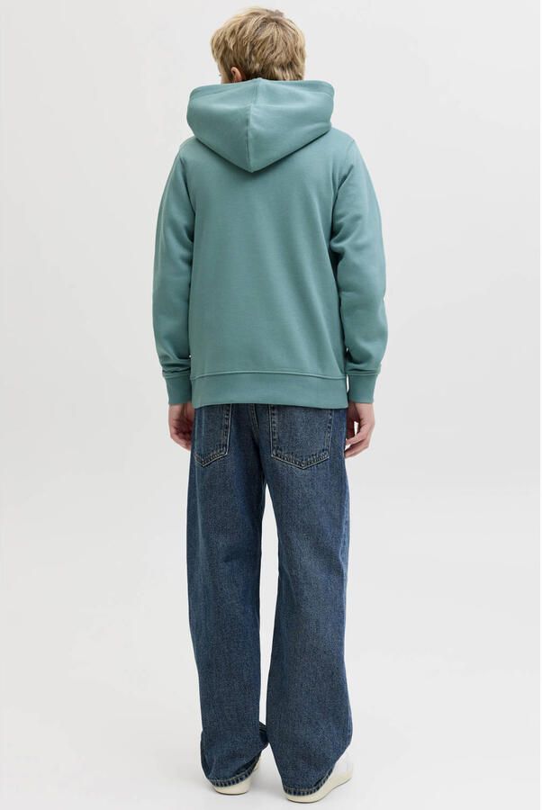 Jack & jones HOODIE met Labeldetail Model 'ESTAR' - Foto 3