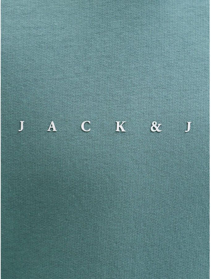 Jack & jones HOODIE met Labeldetail Model 'ESTAR' - Foto 2