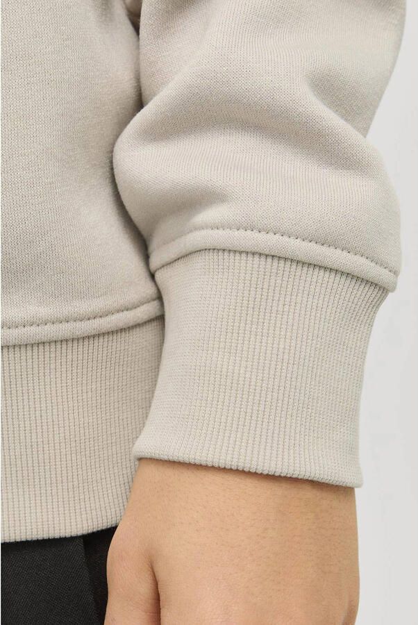 Jack & Jones Junior Sweatshirt JJEBRADLEY SWEAT HALF ZIP NOOS JNR - Foto 2
