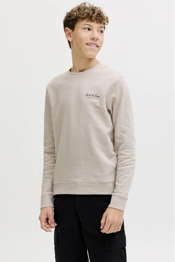 JACK & JONES JUNIOR sweater beige