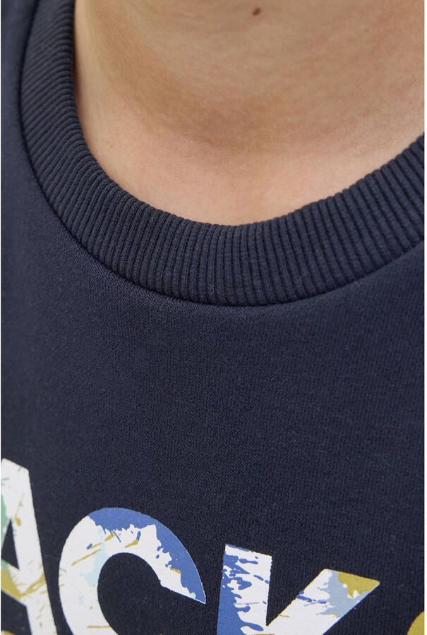 Jack & Jones Junior Sweatshirt JJGEPLAS SWEAT CREW NECK JNR